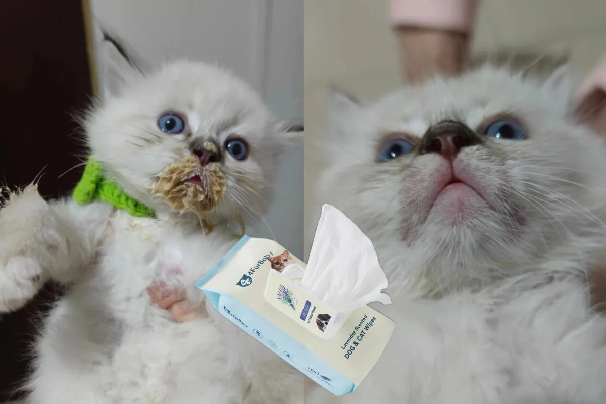 4FurBaby® Plant-Based Grooming Wipes